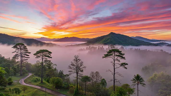 山林日出云海自然风光 山林日出云海自然风光