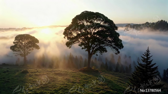 ɽ���ճ��������ƾ���