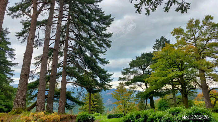 ɽ����ľ��Ȼ���