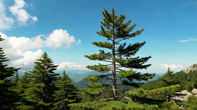 ɽ���������������Ȼ���