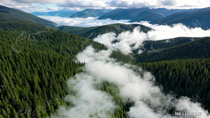 ɽ���ƺ�����ȫ��