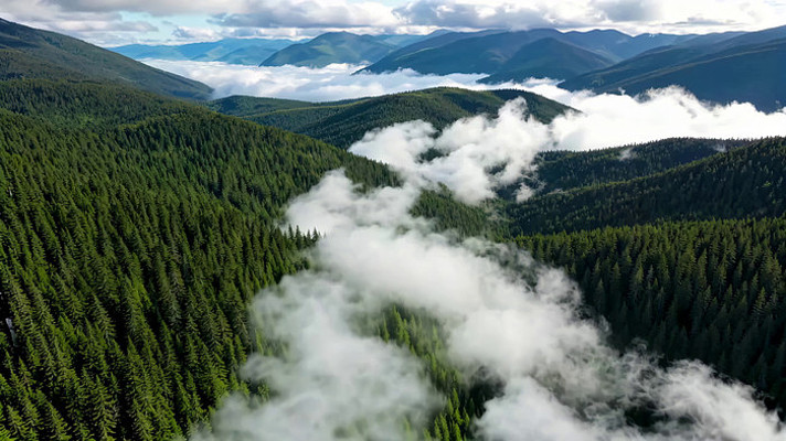 ɽ���ƺ�����ȫ��