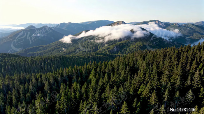 ɽ���ƺ����ȫ��