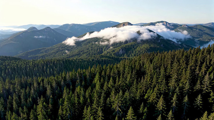 ɽ���ƺ����ȫ��