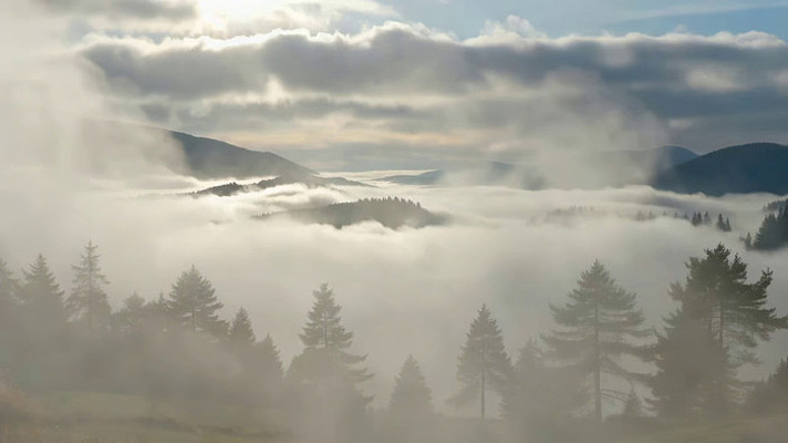 ɽ���ƺ���Ȼ����