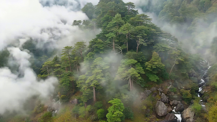 山林云雾缭绕航拍素材 山林云雾缭绕航拍素材
