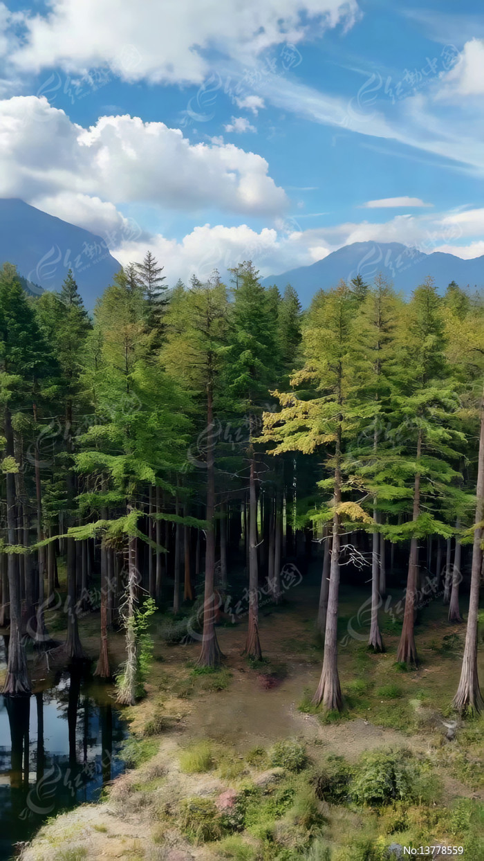 ɽ����Ȼ�������