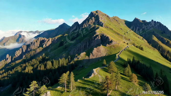 ɽ��ɭ����Ȼ���ȫ��