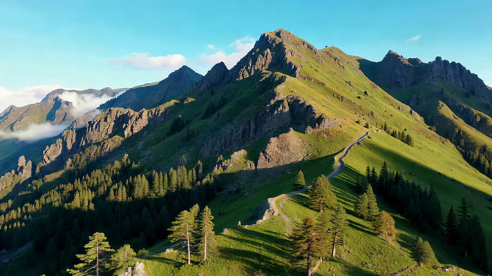山峦森林自然风光全景 山峦森林自然风光全景