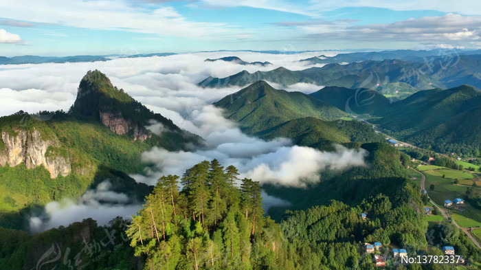 ɽ��ɭ���ƺ�����ȫ��