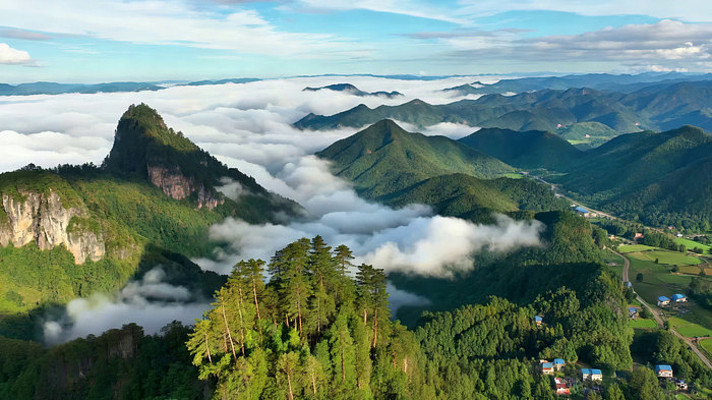 山脉森林云海航拍全景 山脉森林云海航拍全景