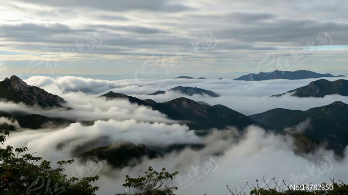 ɽ���ƺ�ȫ��