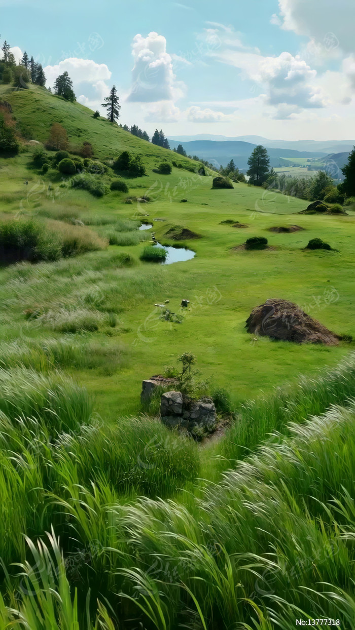 ɽ�²ݵ���Ȼ����ز�