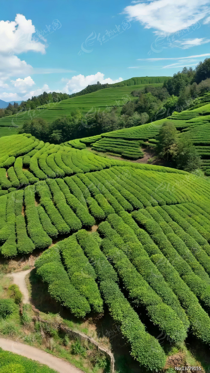 ɽ�²�԰���ȫ��