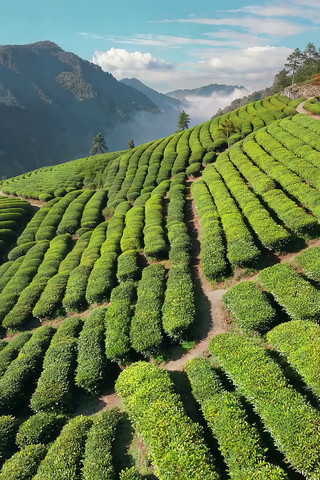 ɽ�²�԰��Ȼ���ȫ��