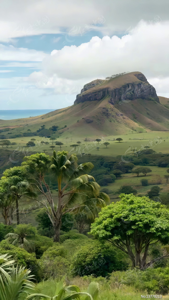 ɽ��ݵ���ľ��Ȼ���