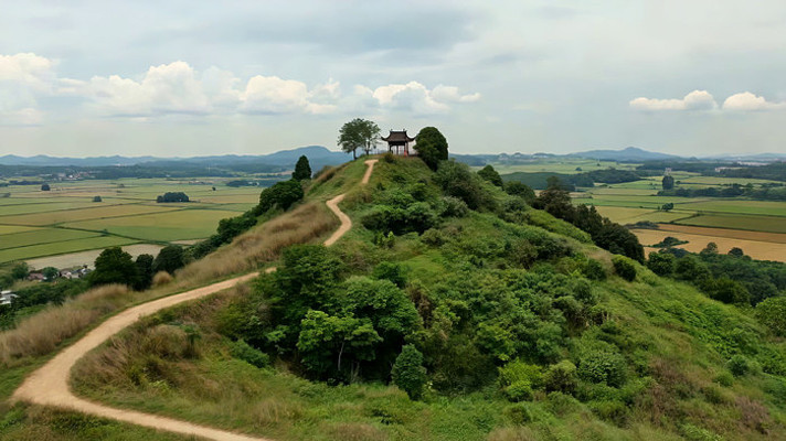 ɽ���ϵ�ͤ������Ȼ���