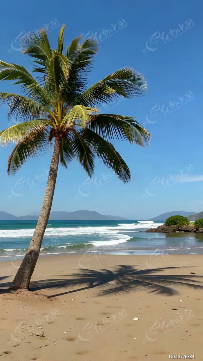 ɳ̲���Ե���б�����