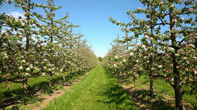 ʢ����ƻ��԰ȫ��