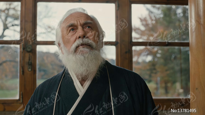 ���Ŵ�ͳ���εİ׷�����