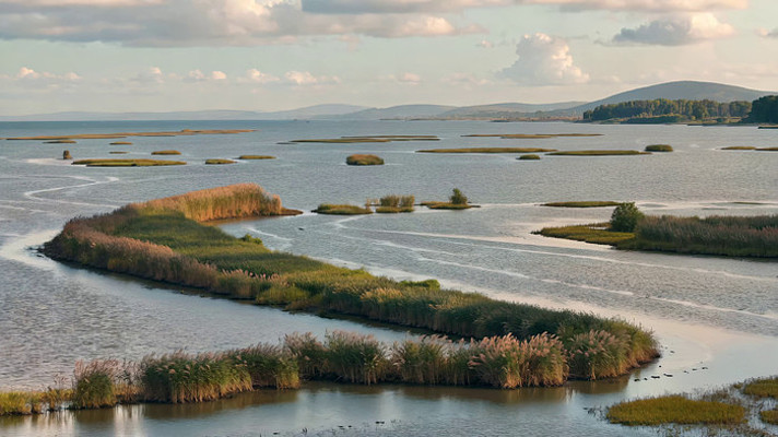 湿地湖泊自然风光 湿地湖泊自然风光