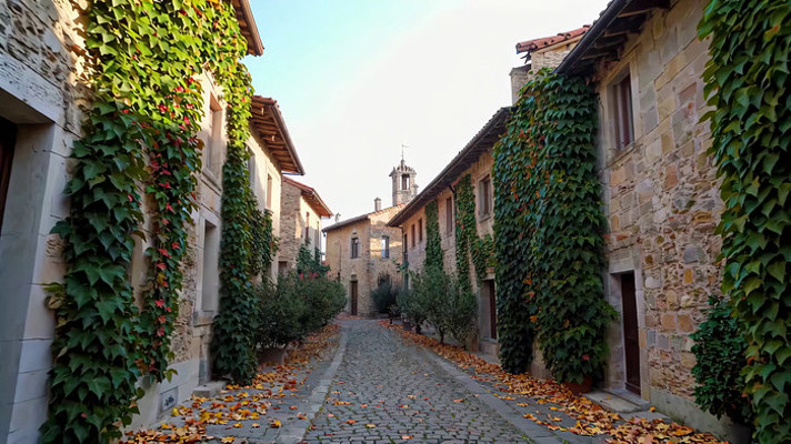 石砌小巷藤蔓缠绕的风景 石砌小巷藤蔓缠绕的风景