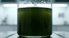 ʵ�����ձ�����ɫ�Լ�