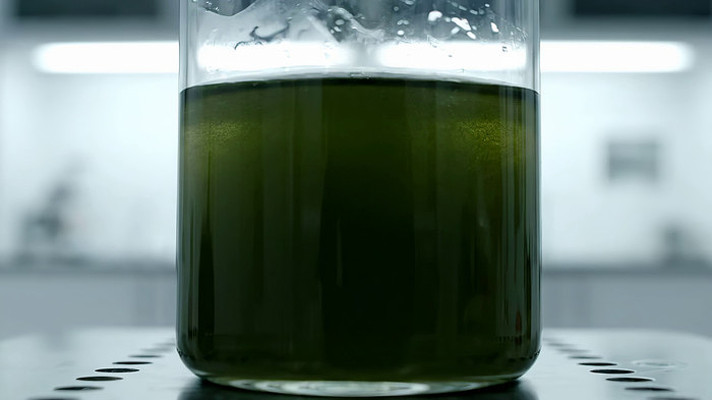 ʵ�����ձ�����ɫ�Լ�