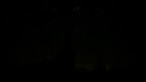 �ֳ�ȼ�ջ����д