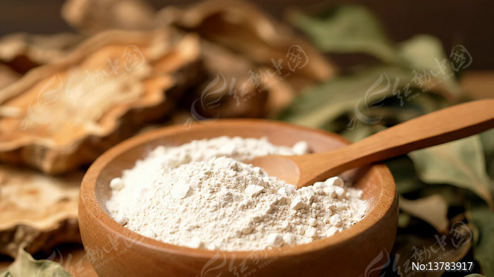 ��ȡľ���з�ĩ����ҩ�����ز�