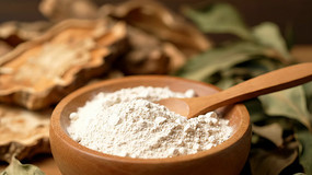 ��ȡľ���з�ĩ����ҩ�����ز�