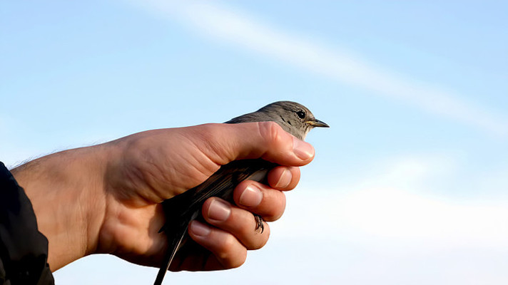 �����ϵ�С��