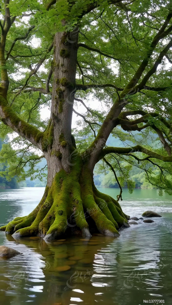 ˮ�ߴ�����Ȼ����