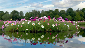 ˮ��ʢ���Ķ�ʸ�ɣ��