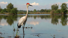 ˮ��վ���ĺ�ɫ��������