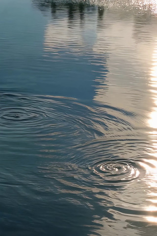 ˮ��������Ӱ�ز�