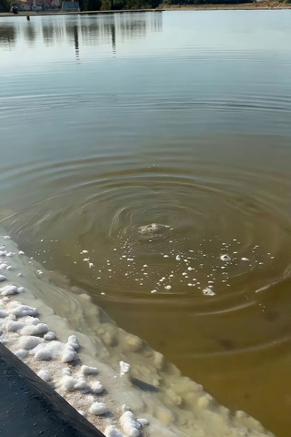 ˮ�������밶����ĭ����