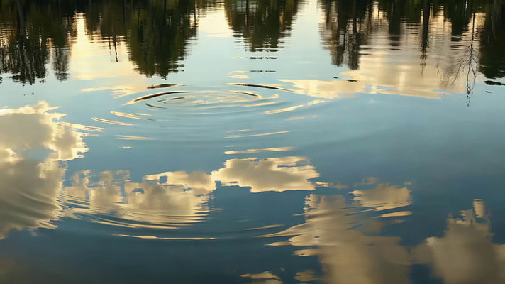 ˮ�����ɭ�ֵ�Ӱ�ز�