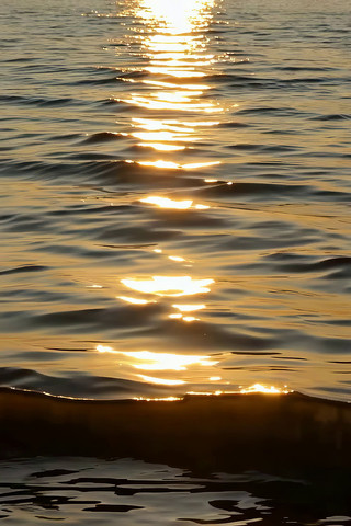 ˮ��Ϧ����Ӱ