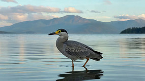 ˮ��վ������Զ���ز�