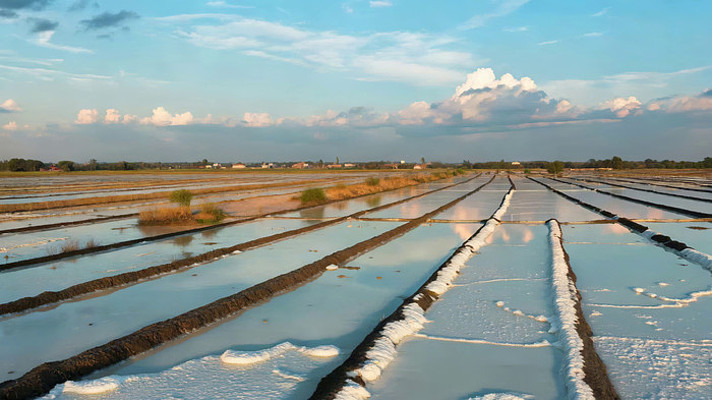 水田风光全景 水田风光全景