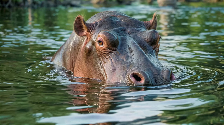 ˮ�к�����д��ͷ