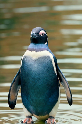 ˮ��վ��������ز�