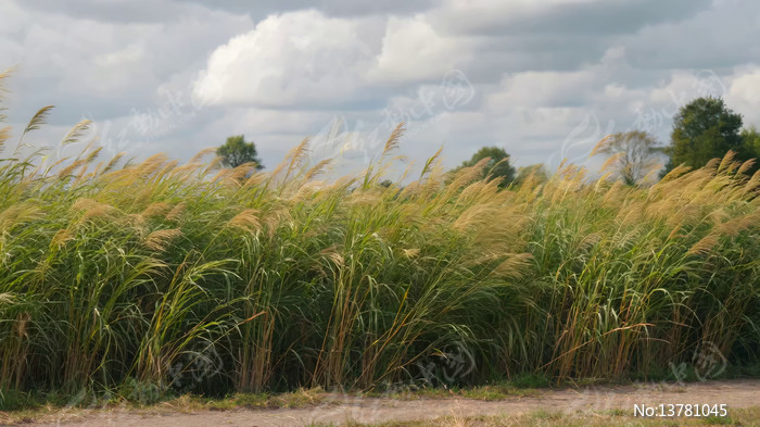 ���ҡҷ��«έ��Ȼ����