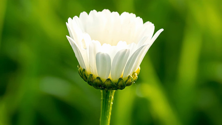 ��д��ɫ����