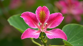 ��д��ɫ����