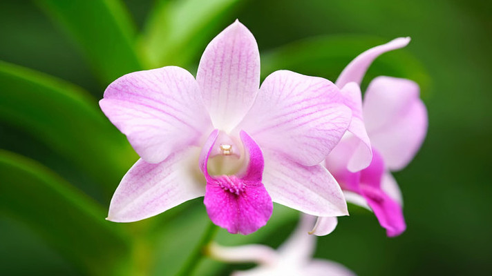 ��д��ɫ��������