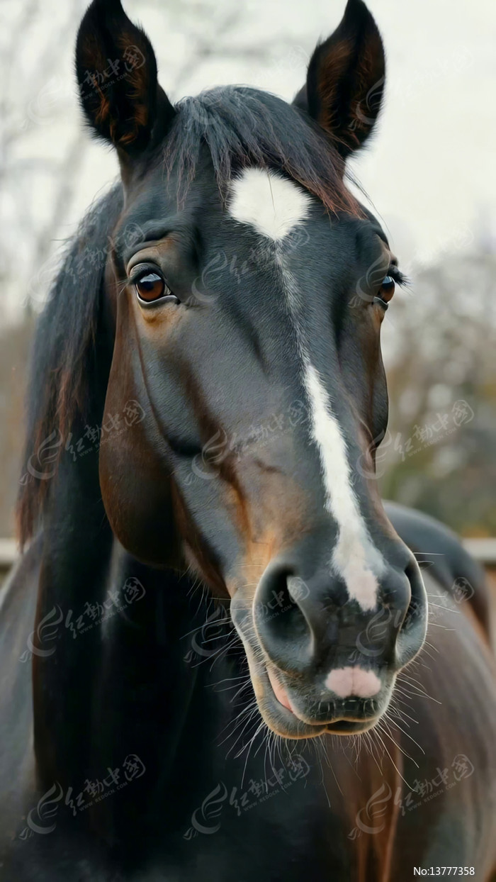 ��д����ͷ���ز�