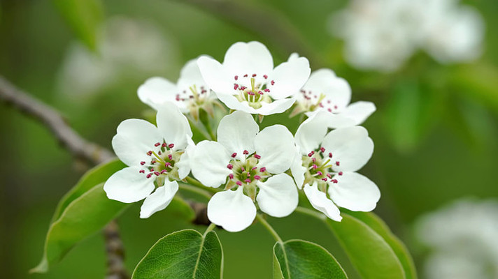 ��д�滨֦ͷ���Ż���