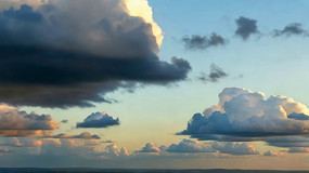 �����Ư���İ���